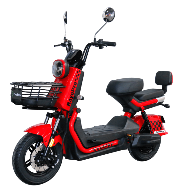 Rayo Pro Evobike