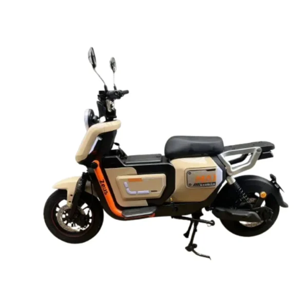 Zeus Evobike